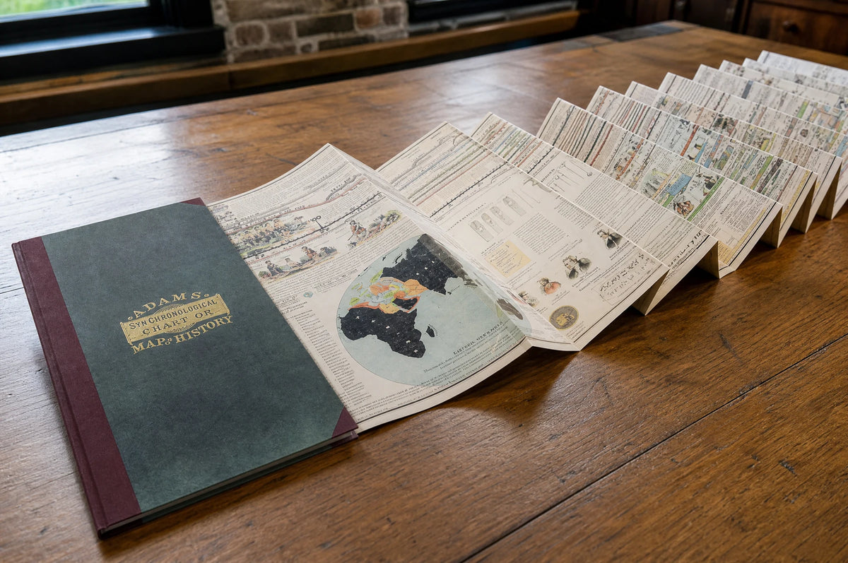 The history chart extended across a table in connected accordion folds