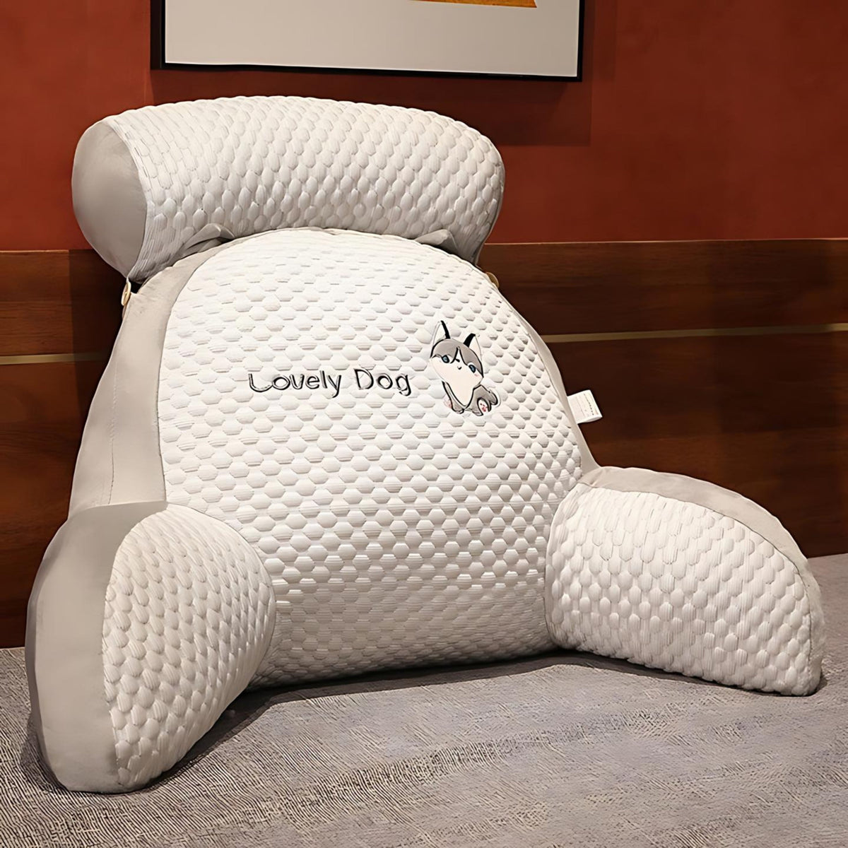 Ceyla™ Orthopedic Back Pillow